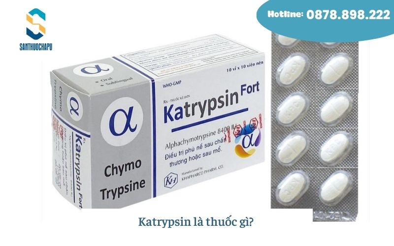 Katrypsin là thuốc gì? 