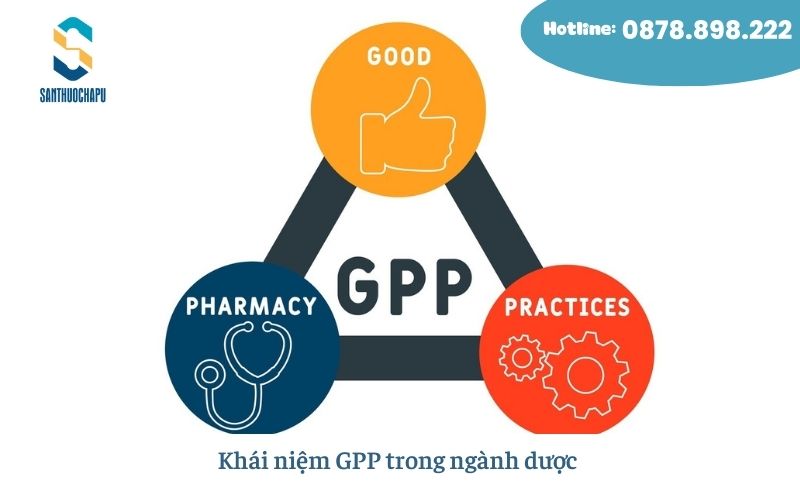 GPP trong ngành dược là gì?