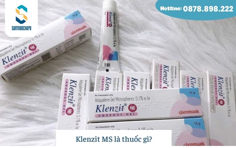 Klenzit MS là thuốc gì?